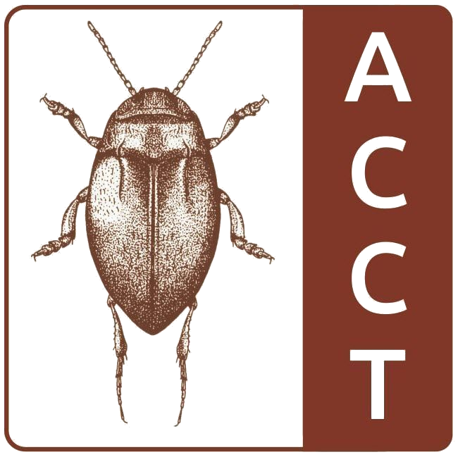 ACCT Logo