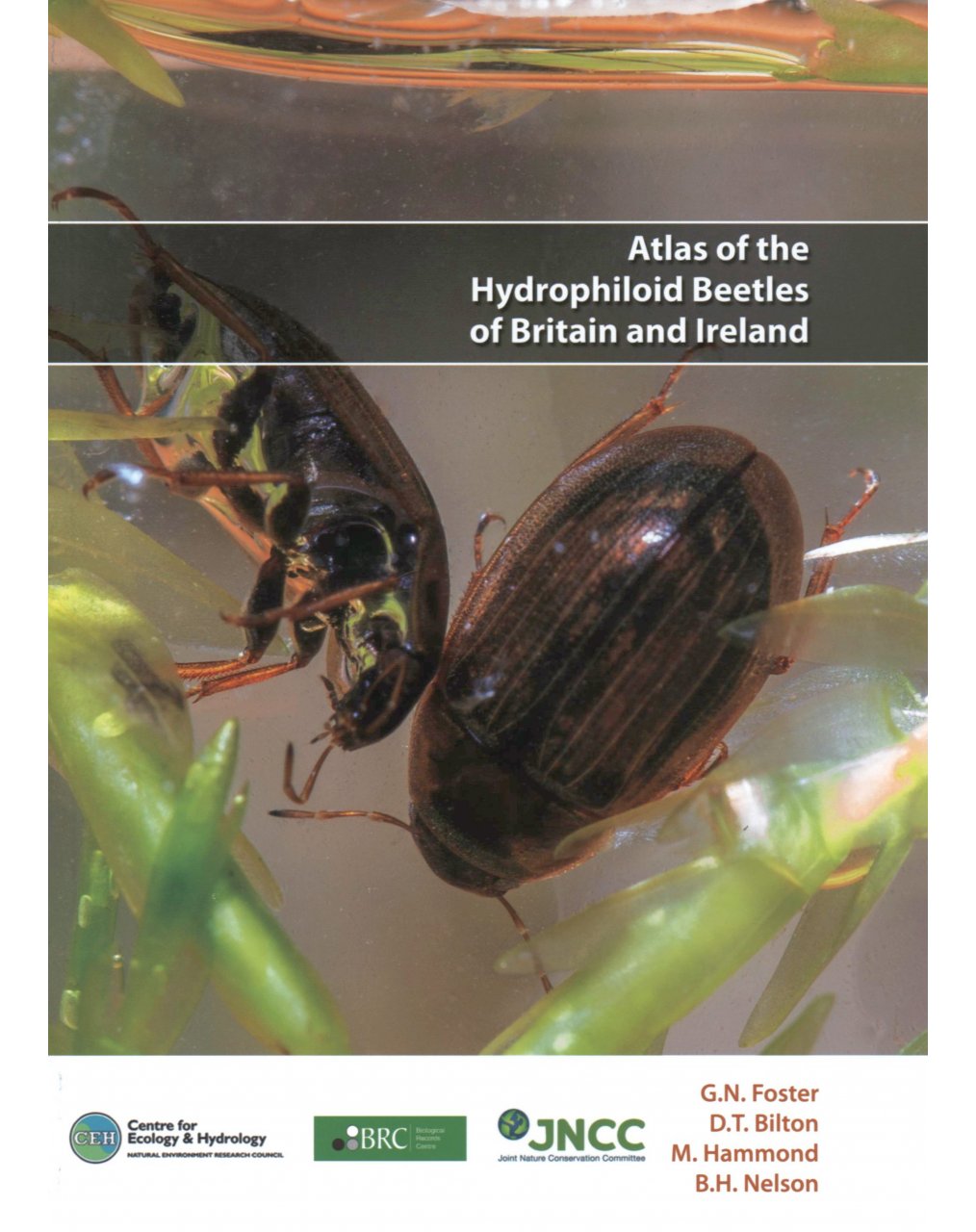 Atlas of Hydrophiloid Beetles