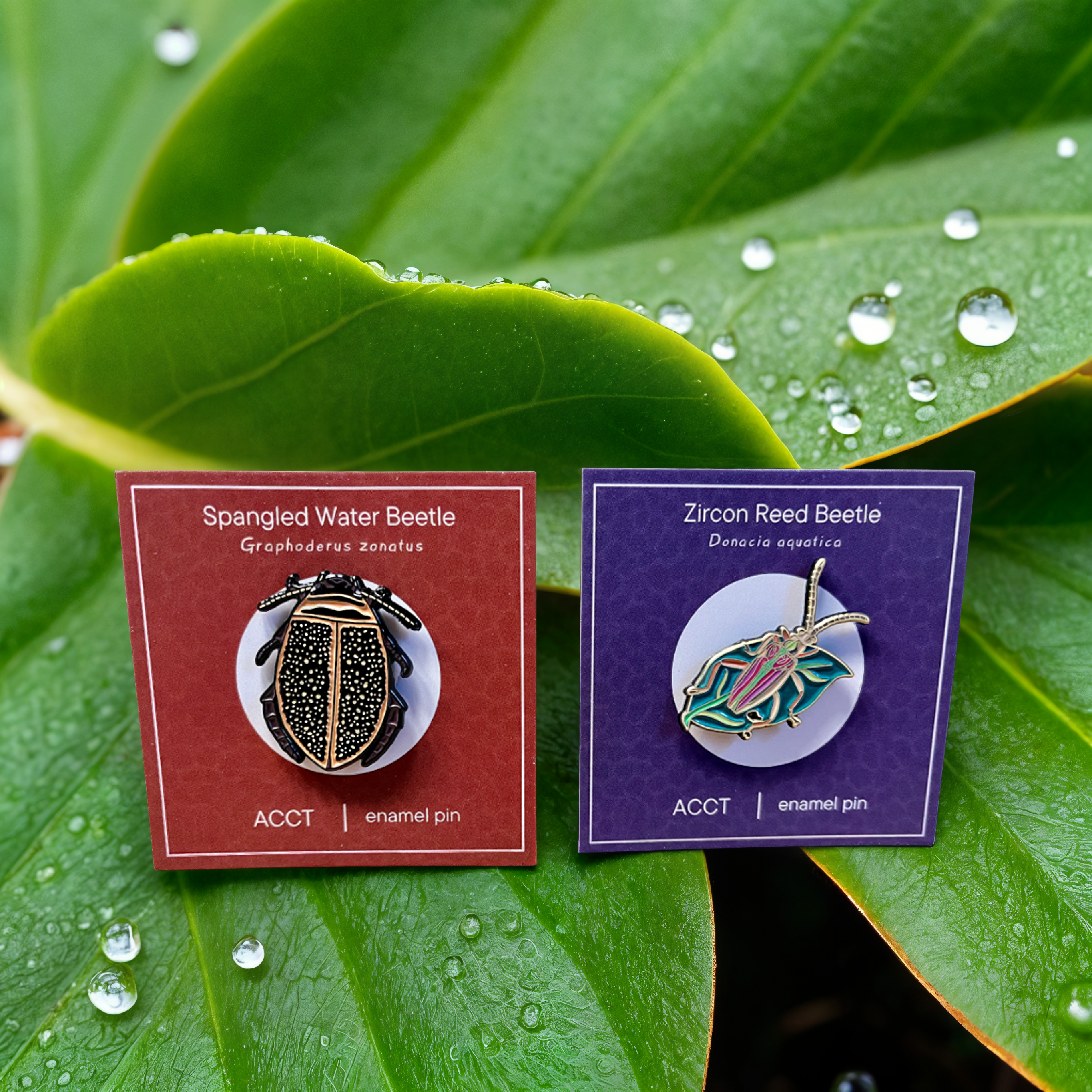 Limited Edition Pin Badges