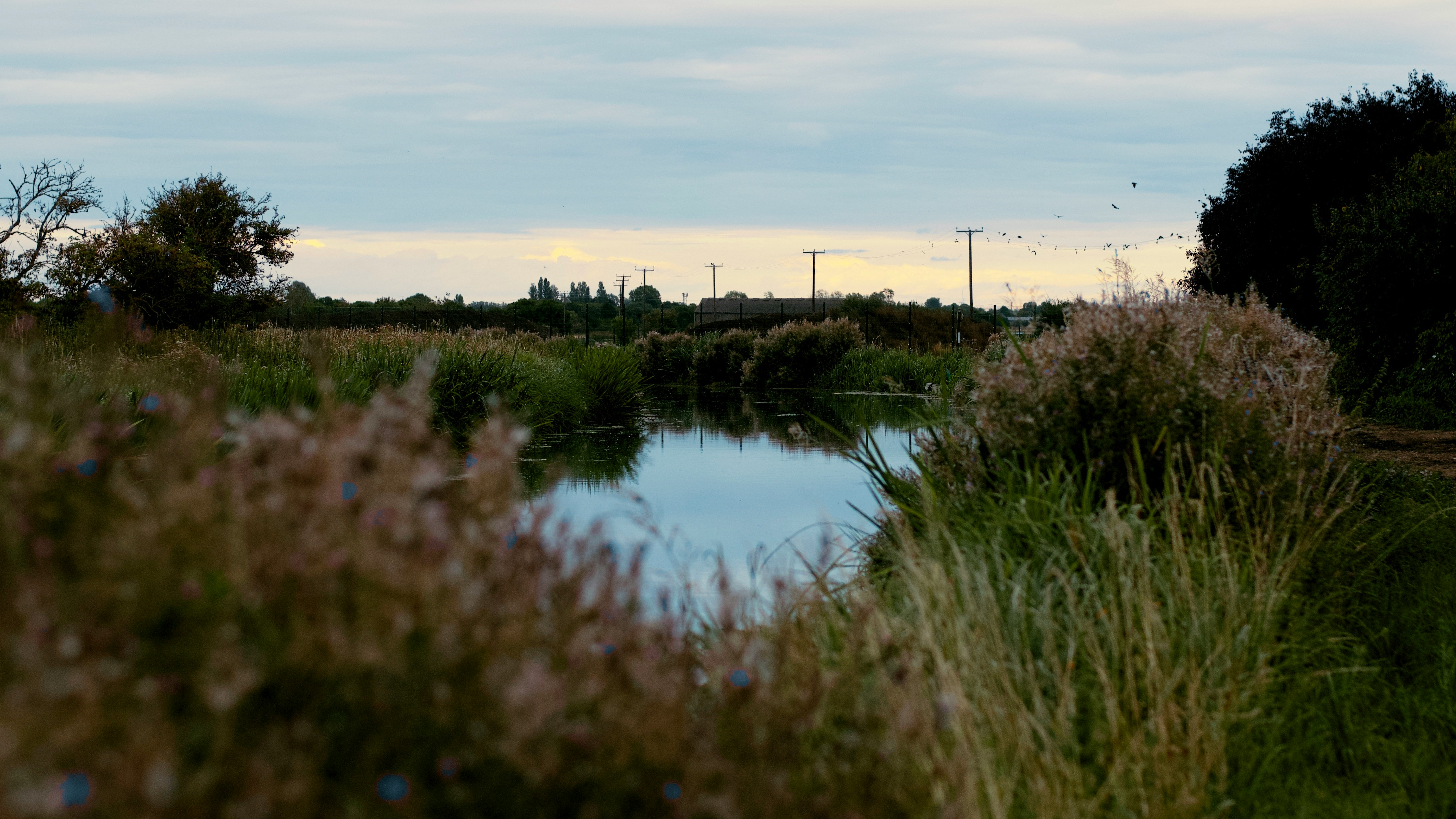 Scenic view of the Cambridge fenlands with waterways and countryside