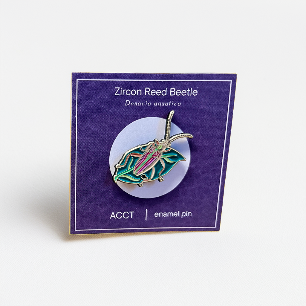 Zircon Pin
