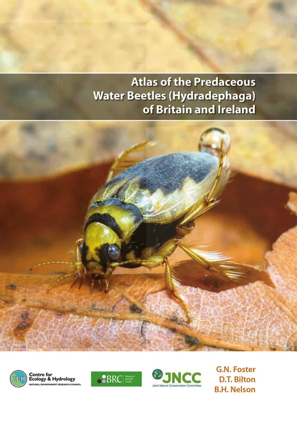 Predaceous Water Beetles Atlas