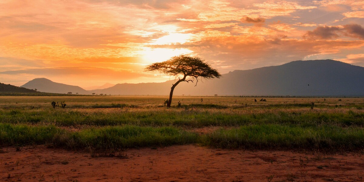 Stunning African sunset over grassland plains and mountains