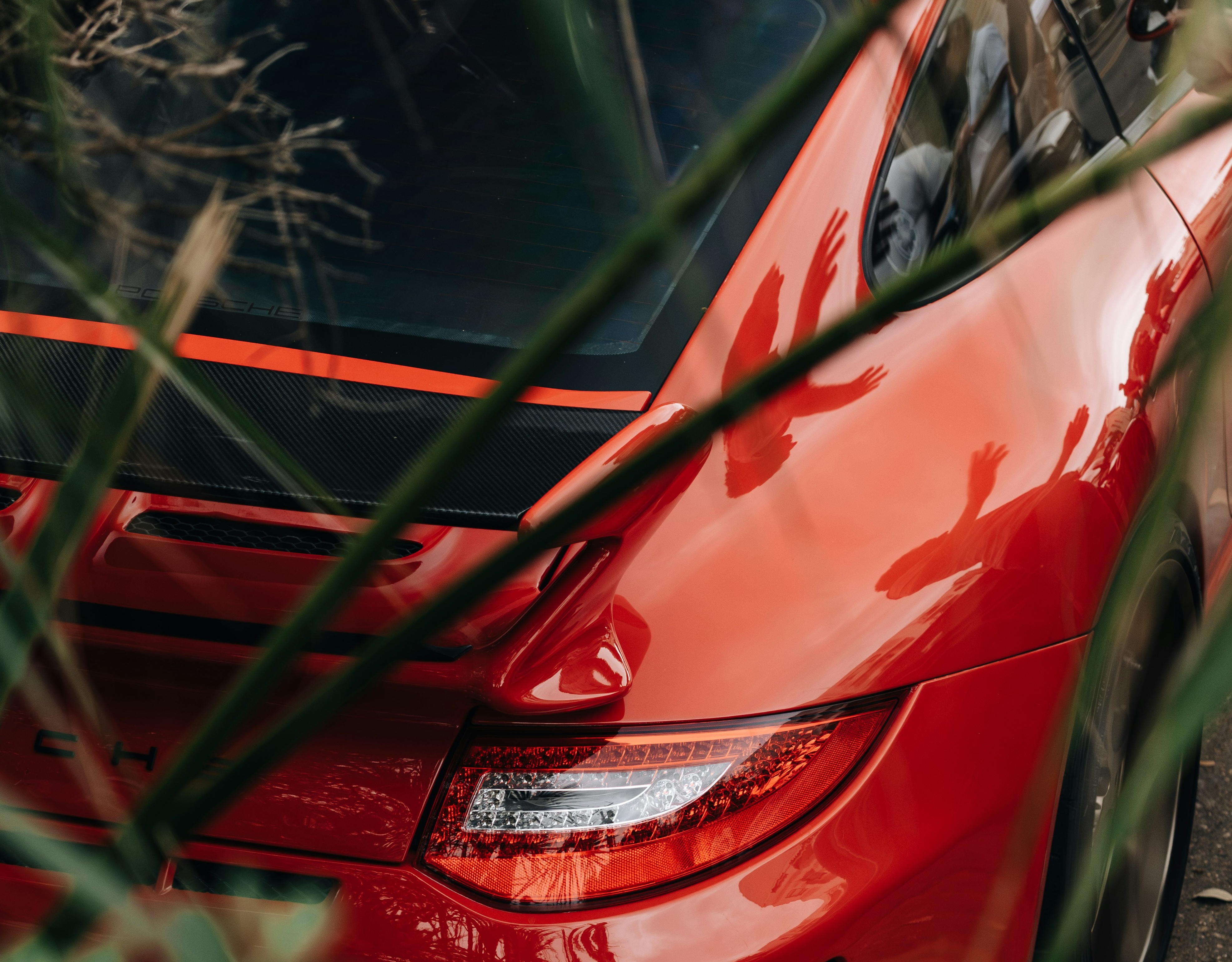 Red car with glossy surface that attracts water beetles