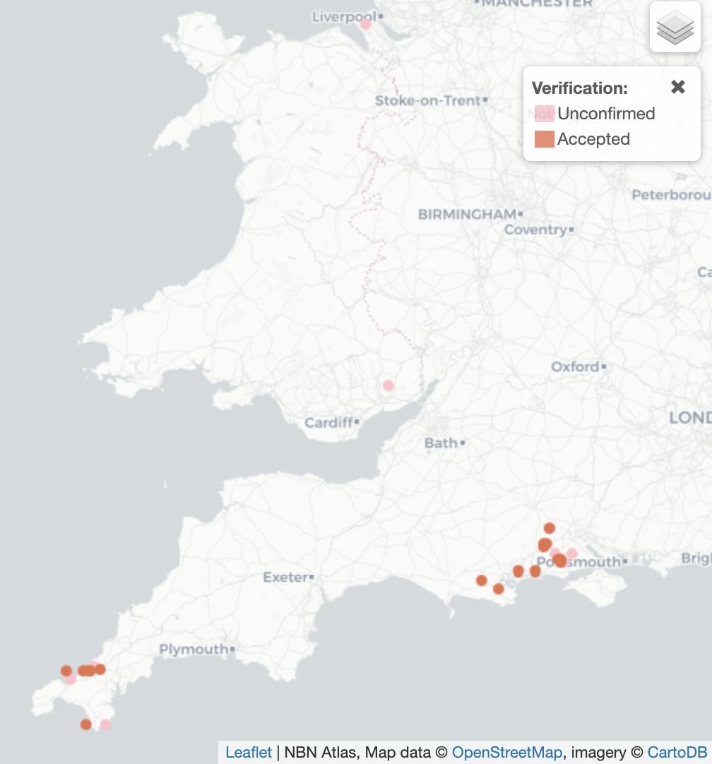Agabus brunneus UK Distribution