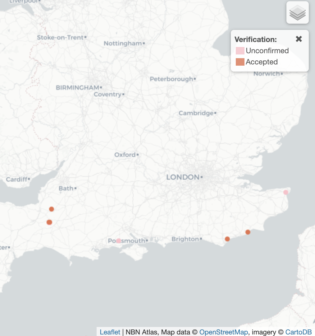 Bagosus nodulosus UK Distribution