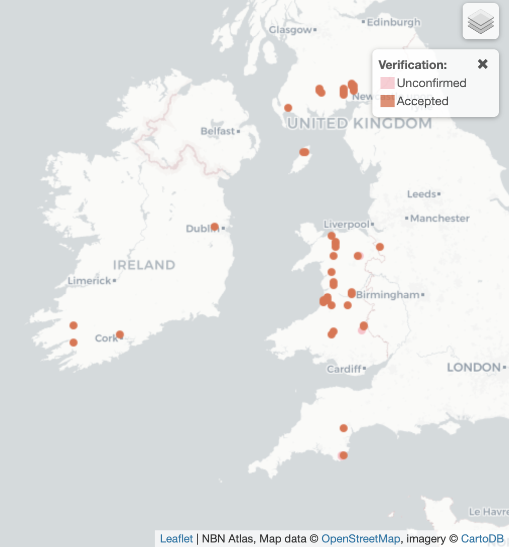 Bidessus minutissimus UK Distribution