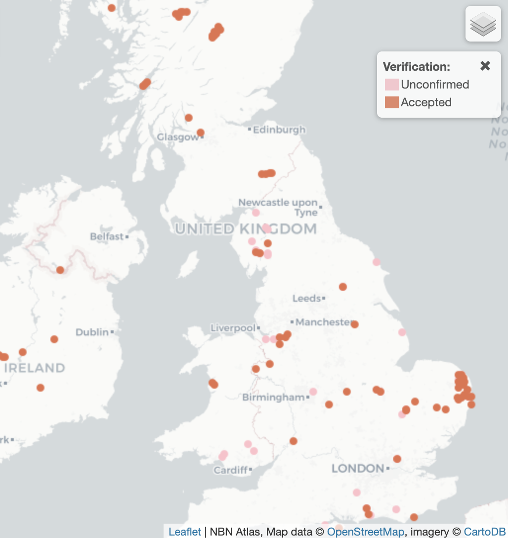 Donacia aquatica UK Distribution