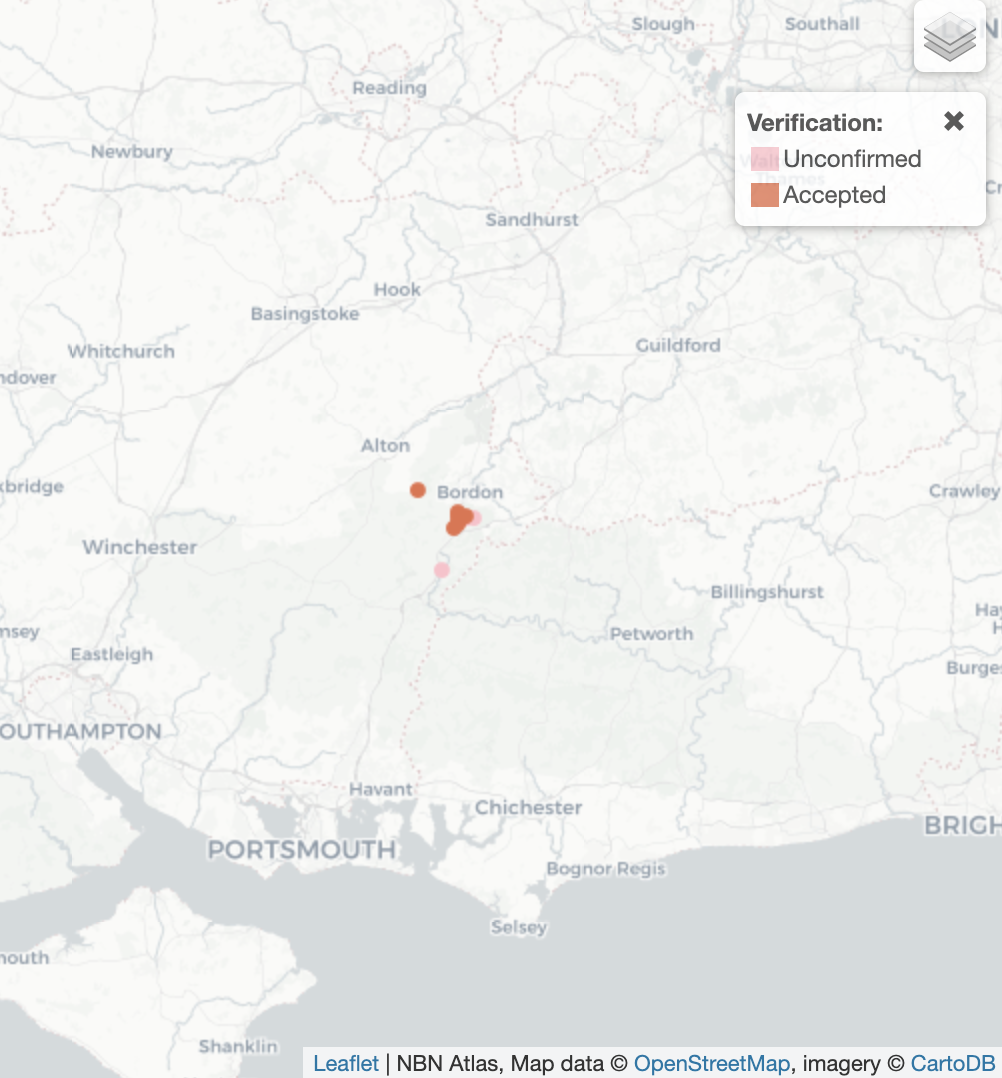 Graphoderus zonatus UK Distribution