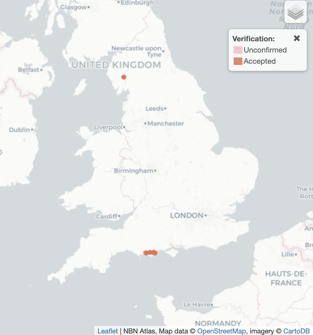 Hydroporus necopinatus UK Distribution