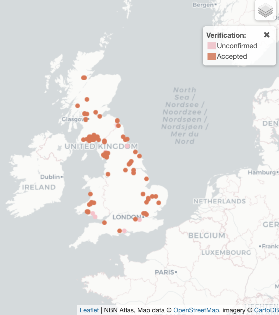 Hydroporus rufifrons UK Distribution