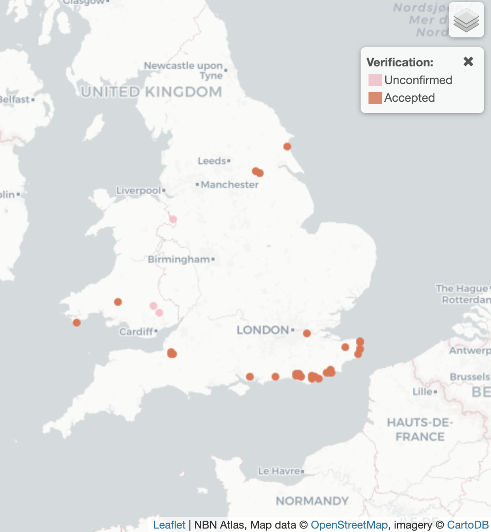 Laccophilus poecilus UK Distribution