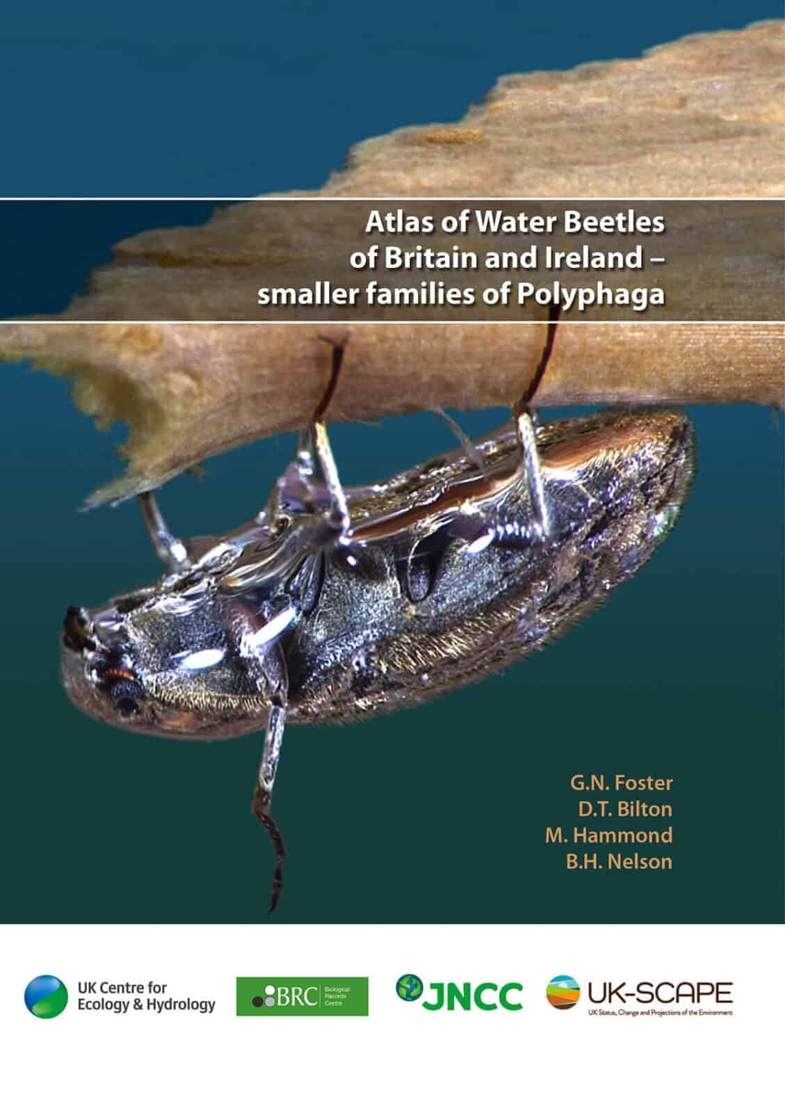 Water Beetles - Smaller Families Atlas